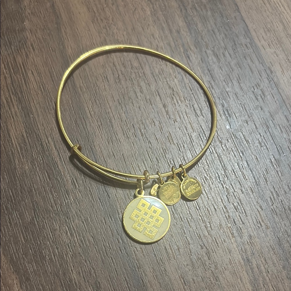 Alex and Ani Gold Charm Bangle Bracelet